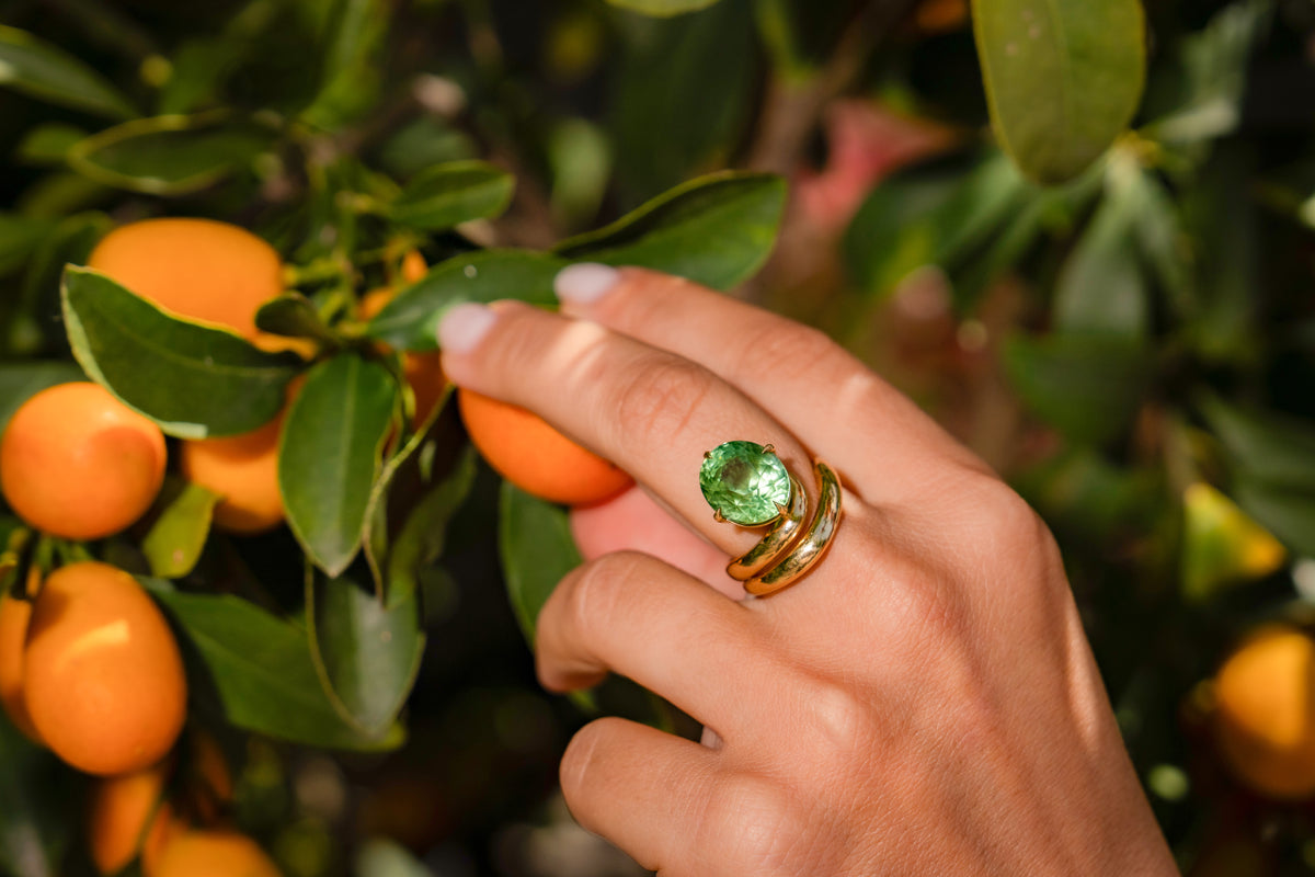 The Sovereign Ring
